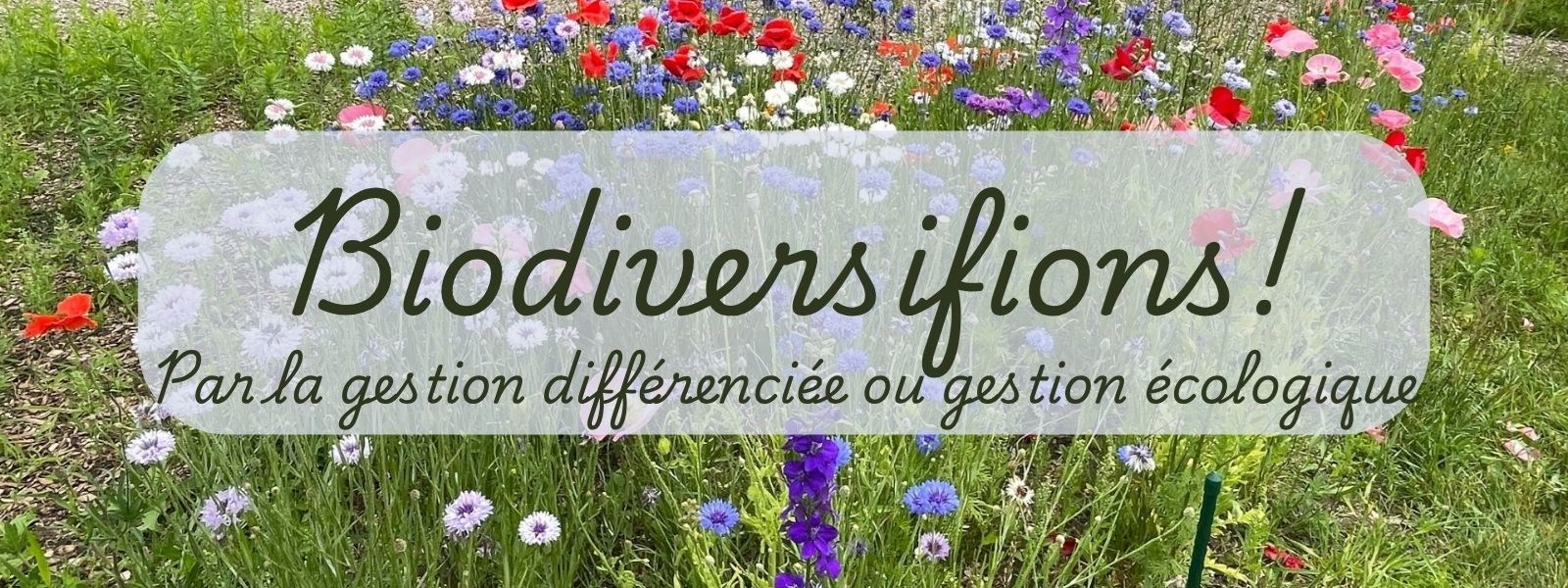 Biodiversifions! 